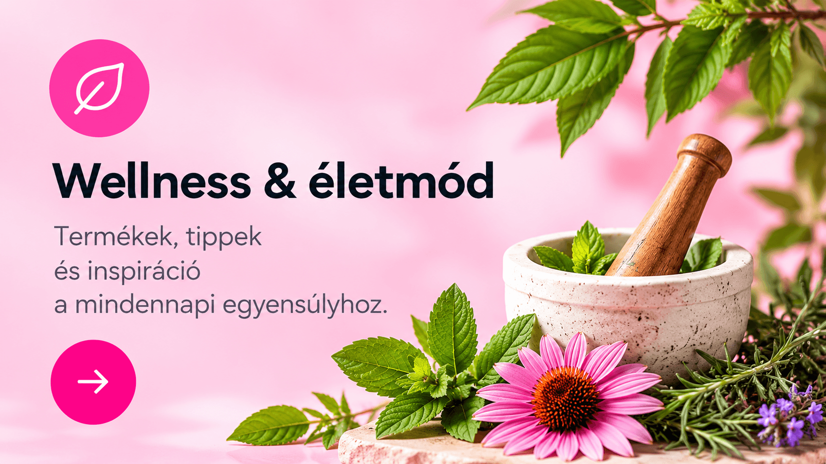 Wellness & életmód. Termékek, tippek és inspiráció a mindennapi egyensúlyhoz.